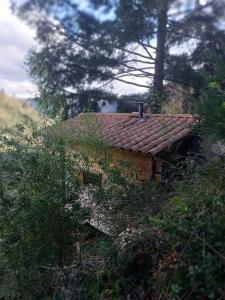 Adorable chalet au coeur de lArdèche