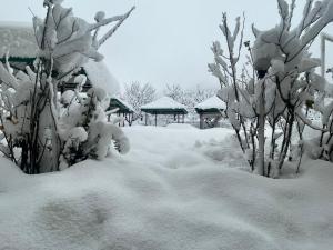 Hotel Celebriti Inn by London vista Hotels - Old Manali