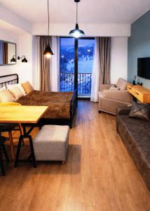 Apartment near ski Resort Bakuriani