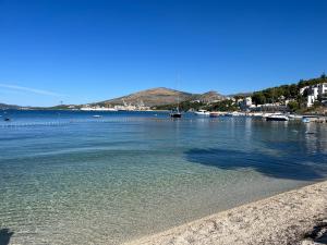 Apartments Villa Mirella 20 m from the sea - free parking