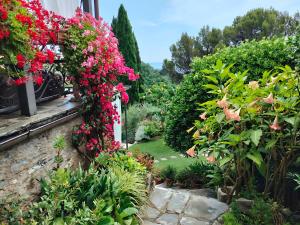 LAlcova tra gli ulivi