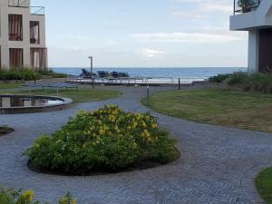 Hacienda Iguana 3BR steps to beach,pool- Costamar 8