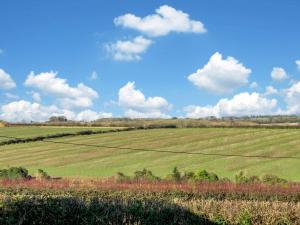 2 Bed in Thornicombe 90161