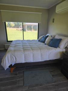 Habitación amplia en suite con entrada independiente