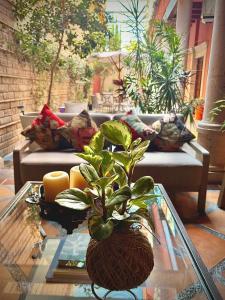 Exclusive Luxury Guest Center House