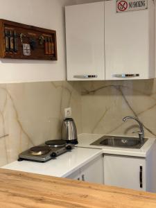 Central Studio Apartment- Kamu Villa