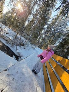 Willa Pod Górską Lawendą