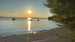 Casa Verona Kamp Heron Island Drage