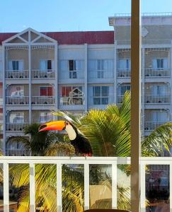 Resort Apartment Next to the Thermas de São Pedro