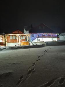 Cabana Dany Colibița