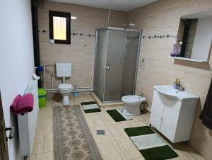 Cabana Dany Colibița