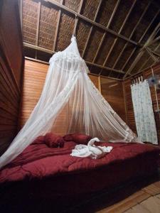Batanta Paradise Homestay