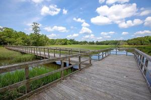 Creekside Bungalow-Park Circle-15m dtwn CHS