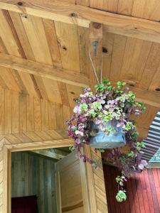 Cabaña en el Rancho