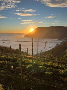 Da a Landa nel centro storico ad un passo dal mare
