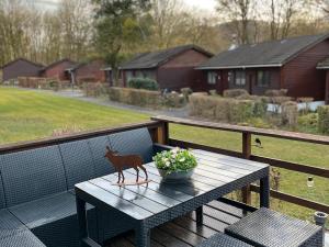 Cozy chalet for 6 people