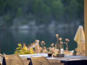 Pool-view 1-bedroom apartment in Obrovac