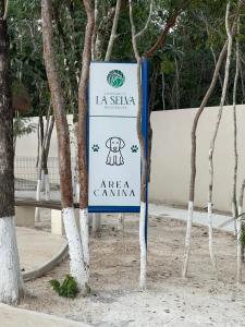 Hermoso departamento en playa del Carmen