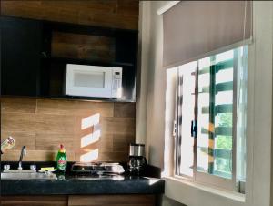 Urban Housing Diaz Mirón Barrio Antiguo