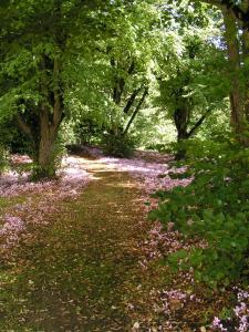 B&B / Chambres d'hotes Chateau de Ternay : Chambre Familiale