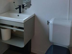 Mobil-home confortable avec terrasse pour 4 personnes - API-1-52-1266