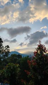 Hornbill Paradise, Munnar
