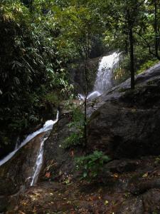 Hornbill Paradise, Munnar