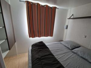 Mobil home confortable avec terrasse à Saint-Geniez-dOlt, 6 personnes - API-1-52-1296