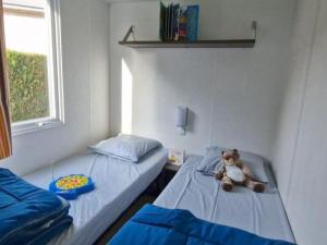 Mobil home confortable avec terrasse à Saint-Geniez-dOlt, 6 personnes - API-1-52-1296