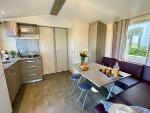 Mobil home 8 pers avec Terrasse à Petit-Palais-et-Cornemps - API-1-52-1318