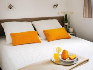 Mobil-home 35m² Champagnac-le-Vieux, 4 pers, 2 chambres - API-1-52-1352