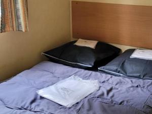 Mobile-home 33m² pour 4 pers à Champagnac-le-Vieux - API-1-52-1355