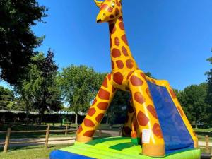 Mobil-home confortable avec terrasse pour 4 pers - API-1-52-1365