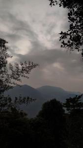 Hornbill Paradise, Munnar