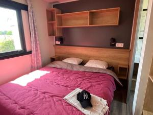 Mobil-home confortable avec terrasse pour 6 personnes à Dolus-dOléron - API-1-52-1525