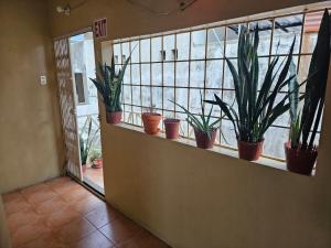 Suite amueblada kennedy norte