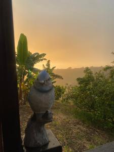 Happy Glamping Quindio - Tipo Domo Traslúcido