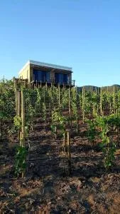 Cabañas Rancho Palos Verdes - San Antonio de las Minas