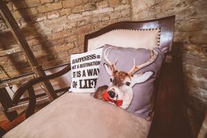 Budapest Loft Central Design Home