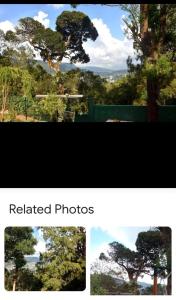 Forests Heaven Villa