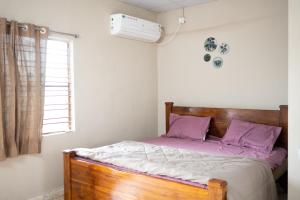 Aare waterfalls homestay