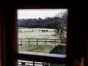 Purbeck View - Uk36320