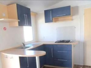 Mobil home avec terrasse pour 6 personnes - API-1-52-1610