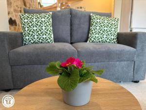 Charmant Gîte Vendéen avec Jardin - 6 Pers. - FR-1-426-605