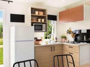 Mobil-home familial 6 pers avec terrasse - API-1-52-1631