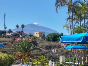 Estudio 2006 en La Quinta Park, Santa Úrsula  - Tenerife