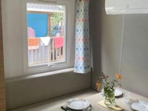 Mobil home 4 pers avec terrasse - API-1-52-1650