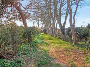 The Bees Knees - Uk49643