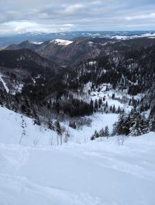 HAUS AM SEE - Natur Pur