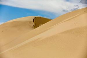 Gobi tour and chimgee guesthouse